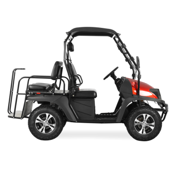 Super Quality 5KW RED Electric UTV for Work